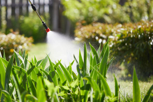 24/7 Emergency Ant Control experts in Sioux Falls, SD
